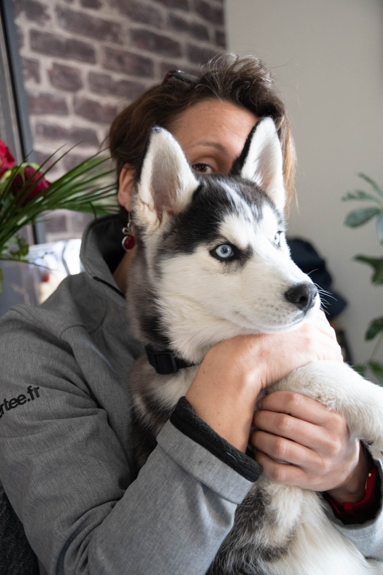 garde animaux à votre domicile