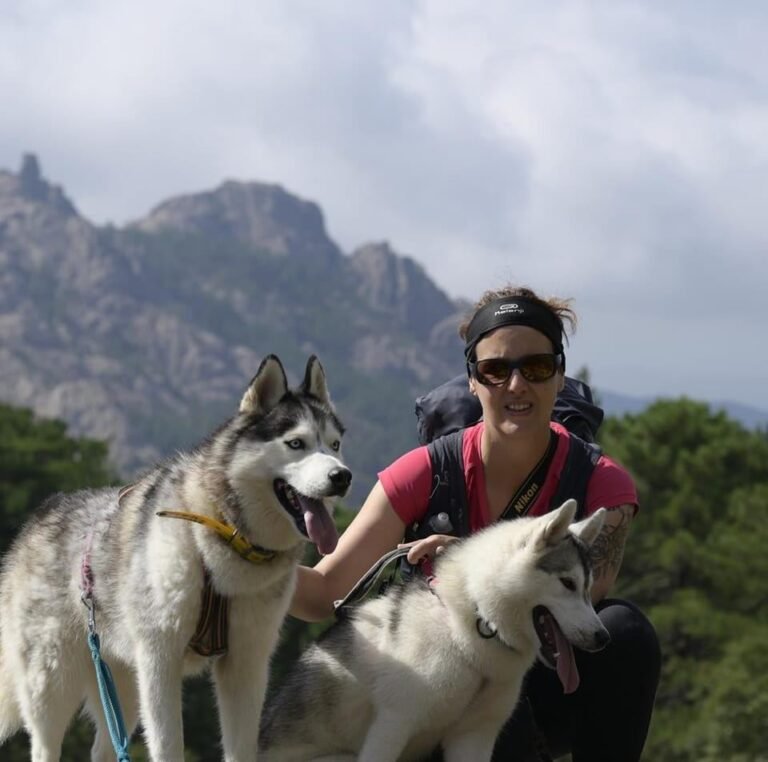 deux husky en canirando en Corse