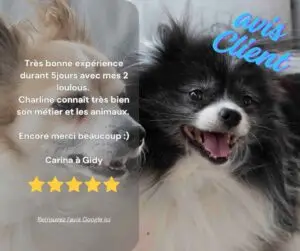 CanifeliD avis client positif Google 5 étoiles pet sitter garde animauxOrléans Gidy Centre Val de Loire