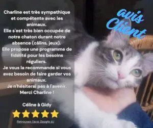 CanifeliD avis client positif Google 5 étoiles pet sitter garde animauxOrléans Gidy Centre Val de Loire