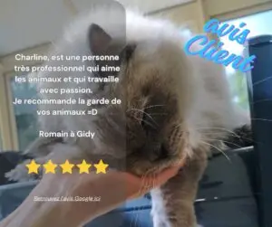 CanifeliD avis client positif Google 5 étoiles pet sitter garde animauxOrléans Gidy Centre Val de Loire