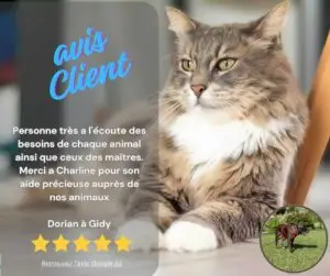 CanifeliD avis client positif Google 5 étoiles pet sitter garde animauxOrléans Gidy Centre Val de Loire