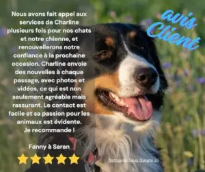 CanifeliD avis client positif Google 5 étoiles pet sitter garde animauxOrléans Gidy Centre Val de Loire