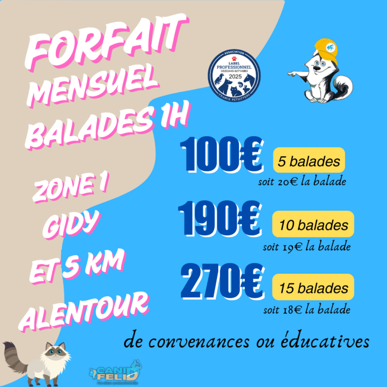 FORFAIT BALADE PET SITTING GARDE ANIMAUX CHIEN CHAT ORLEANS LOIRET
