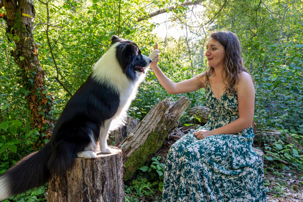 Shooting photo photographie souvenirs animaux chiens chats famille services de photographies photography