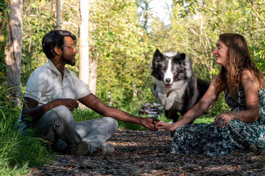 Shooting photo photographie souvenirs animaux chiens chats famille services de photographies photography