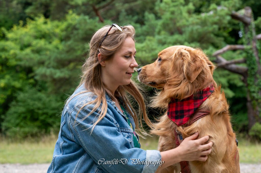 hooting photo photographie souvenirs animaux chiens chats famille services de photographies photography
