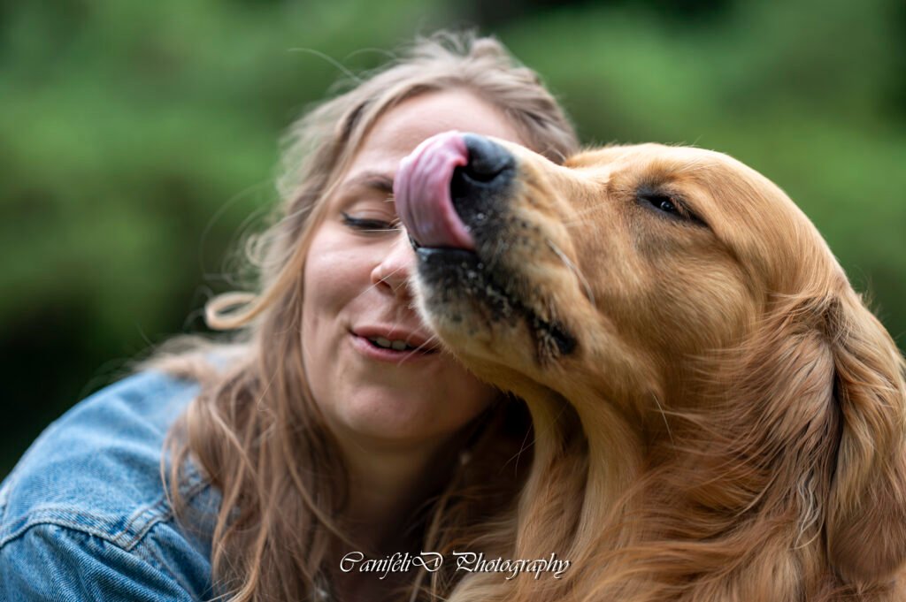 hooting photo photographie souvenirs animaux chiens chats famille services de photographies photography