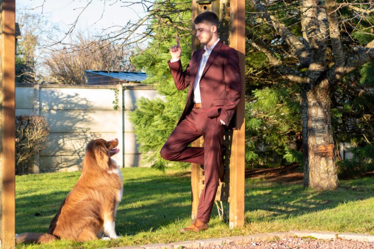 hooting photo photographie souvenirs animaux chiens chats famille services de photographies photography