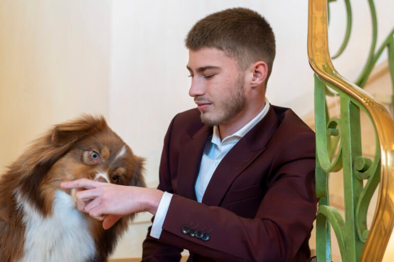 hooting photo photographie souvenirs animaux chiens chats famille services de photographies photography