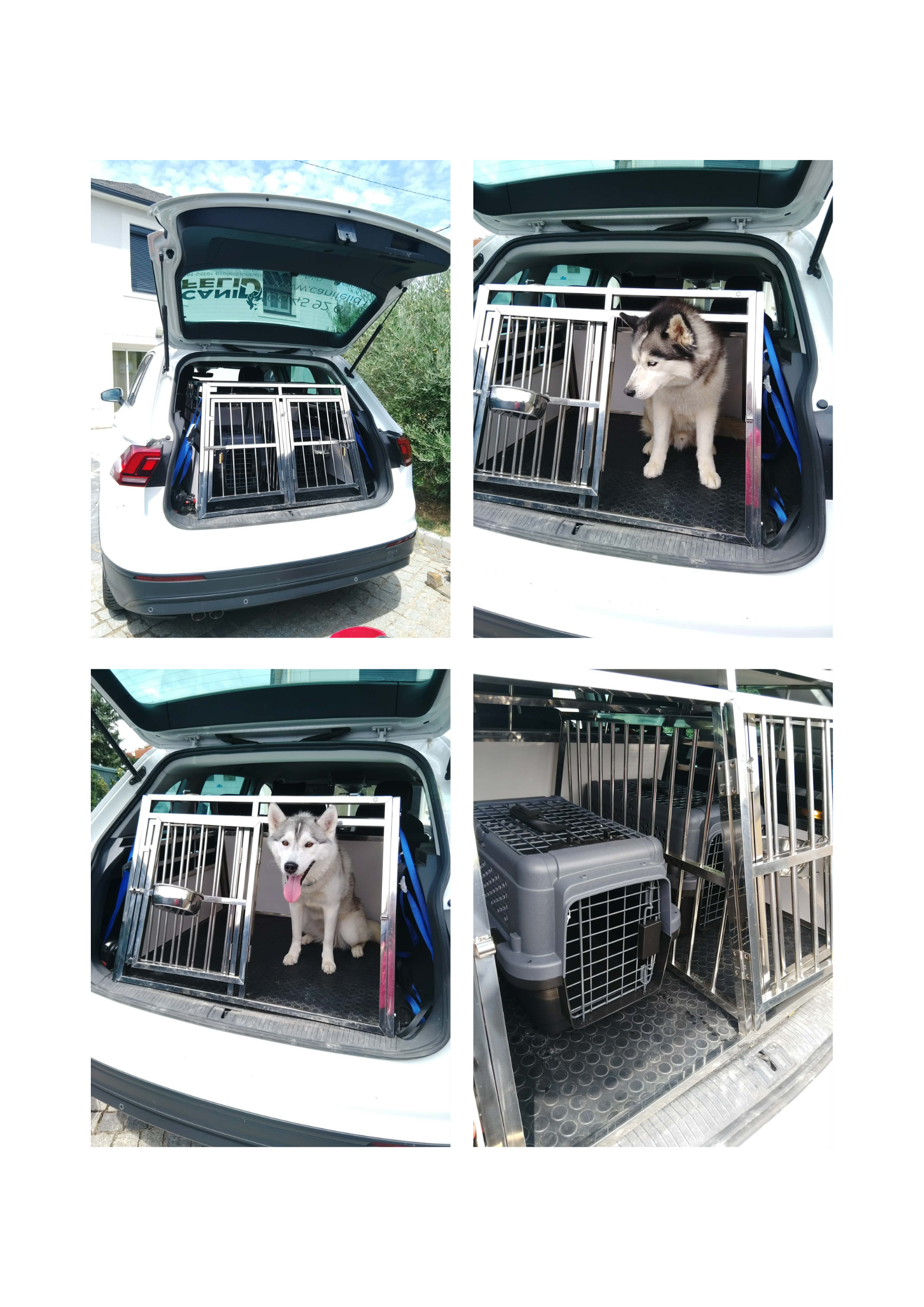 transport animaux vivant taxi animalier gidy orléans Loiret Pet sitting Garde animaux
