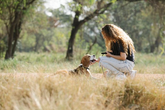 Balade éducative chien chat pet sitting garde animaux Orléans Gidy